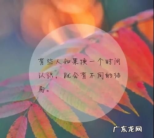 风景好心情好的经典语录,风景很美心情很好