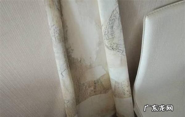 布料发霉变黑怎么洗掉,有什么办法可以去除布料上发霉的黑点