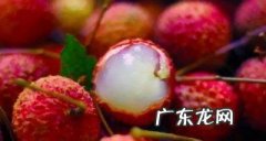 怎么看荔枝坏没坏,荔枝什么样子是坏了