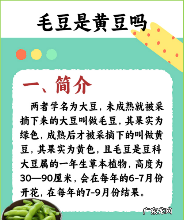 毛豆 黄豆 大豆有什么区别,毛豆是黄豆