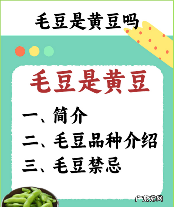 毛豆 黄豆 大豆有什么区别,毛豆是黄豆