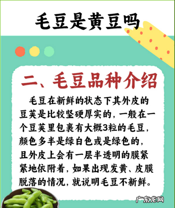 毛豆 黄豆 大豆有什么区别,毛豆是黄豆