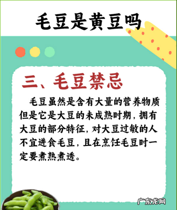 毛豆 黄豆 大豆有什么区别,毛豆是黄豆