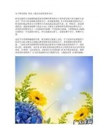 励志语录经典短句关于阳光,植物和阳光的励志语录