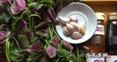 红汉菜怎么处理,红苋菜怎么吃 红苋菜如何吃