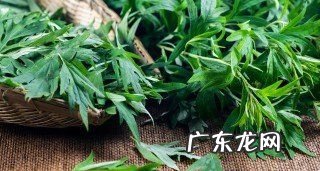 艾草放在房间里有什么作用,艾草放在房间里有什么作用和功效