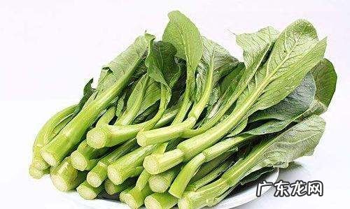 小黄花不能和什么一起吃,黄花不能和什么食物一起吃会中毒