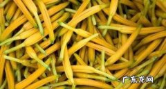 小黄花不能和什么一起吃,黄花不能和什么食物一起吃会中毒