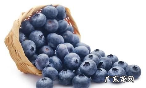 蓝莓可以怎么保存,蓝莓怎么保存时间最长