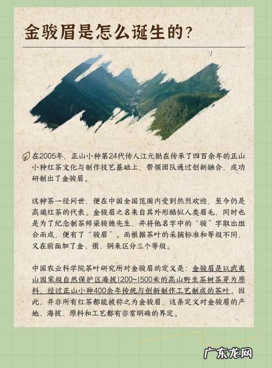 金骏眉属于什么茶产地,金骏眉产地