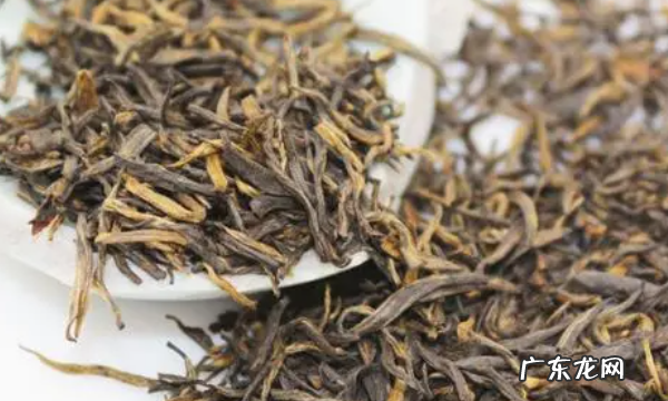 金骏眉属于什么茶产地,金骏眉产地