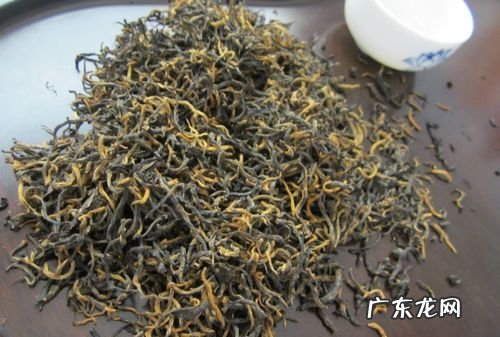 金骏眉属于什么茶产地,金骏眉产地