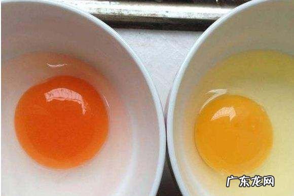 海鸭蛋是什么鸭下的,海鸭蛋是什么东西