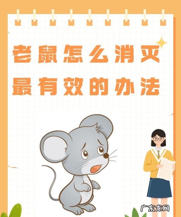 厨房有老鼠放怎么处理最有效,厨房有老鼠怎么办能除根
