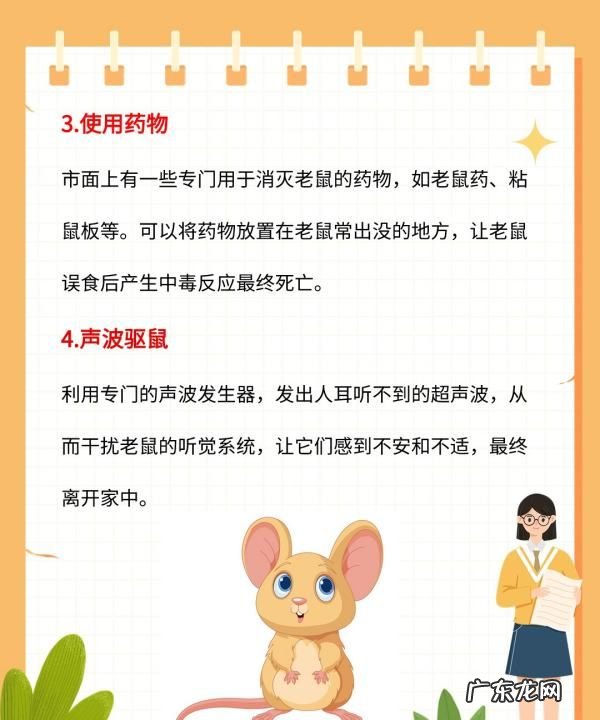 厨房有老鼠放怎么处理最有效,厨房有老鼠怎么办能除根