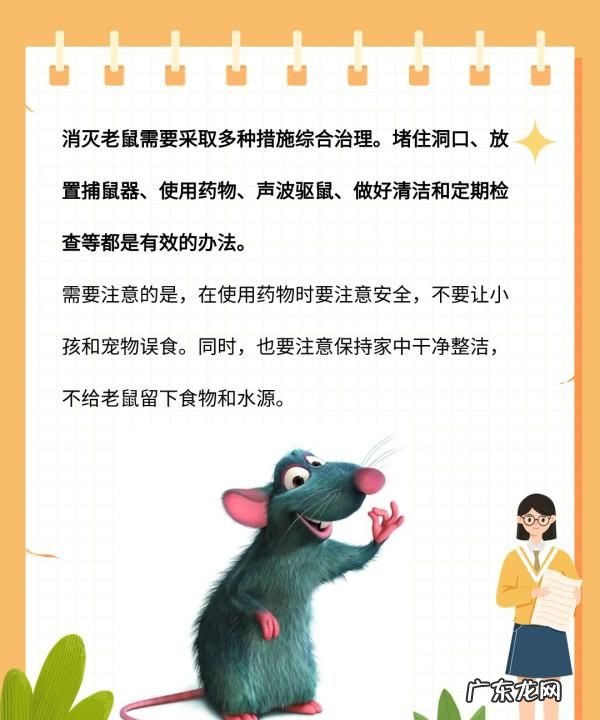 厨房有老鼠放怎么处理最有效,厨房有老鼠怎么办能除根