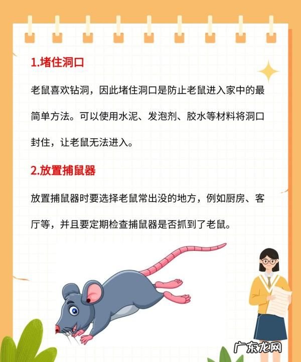 厨房有老鼠放怎么处理最有效,厨房有老鼠怎么办能除根