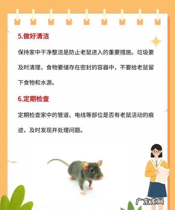 厨房有老鼠放怎么处理最有效,厨房有老鼠怎么办能除根