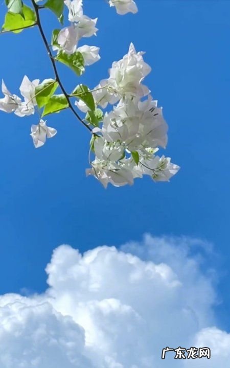 什么叫曲面屏,手机全面屏和曲面屏的区别是什么