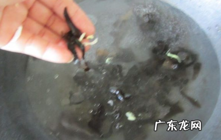 怎么样做沙拉蔬菜,蔬菜沙拉的制作方法