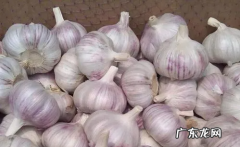 大蒜的保存方法,保存大蒜的最佳方法