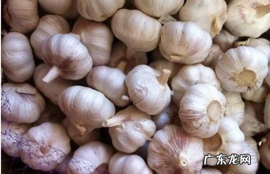 大蒜的保存方法,保存大蒜的最佳方法