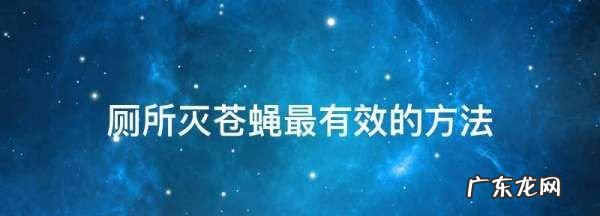 厕所灭苍蝇最有效的方法,灭苍蝇最好用什么办法