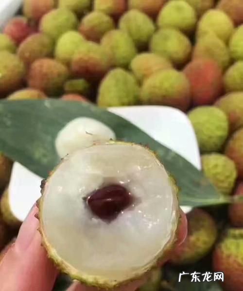妃子笑荔枝怎么选,桂味荔枝和妃子笑荔枝哪个好吃