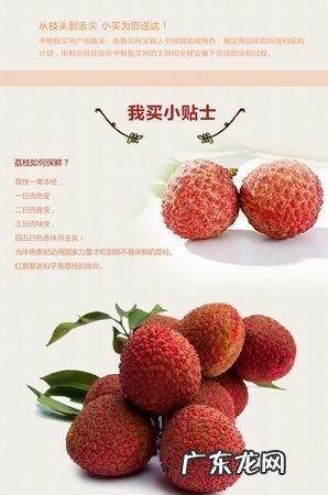 妃子笑荔枝怎么选,桂味荔枝和妃子笑荔枝哪个好吃