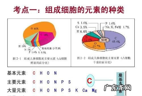 生物细胞里含量最多的元素是什么,生物细胞含量最多的元素是什么前五