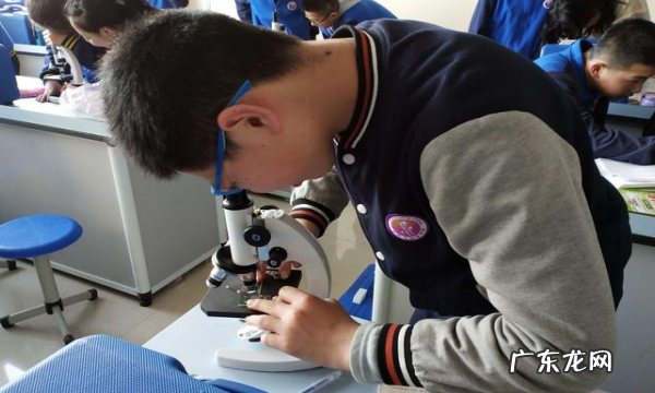 生物细胞里含量最多的元素是什么,生物细胞含量最多的元素是什么前五