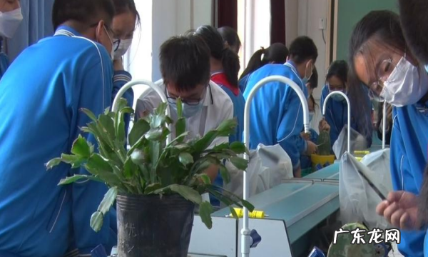 生物细胞里含量最多的元素是什么,生物细胞含量最多的元素是什么前五