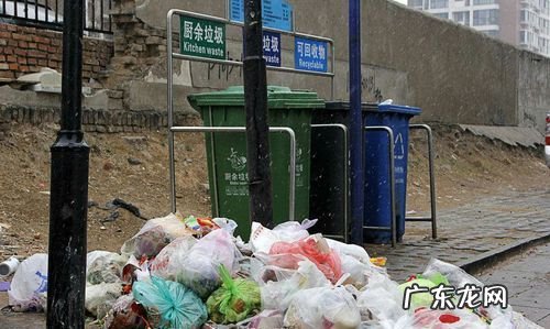 乱丢垃圾的坏处,乱扔垃圾的危害是什么
