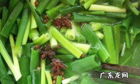 怎样腌制小葱,延边腌小葱的做法大全