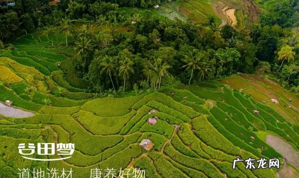 山药的功效和作用是什么,山药功效与作用
