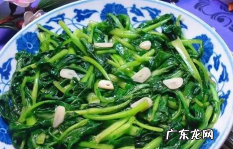 炒小青菜的家常做法,小青菜怎么炒好吃
