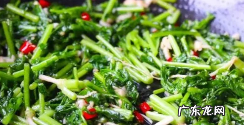 炒小青菜的家常做法,小青菜怎么炒好吃