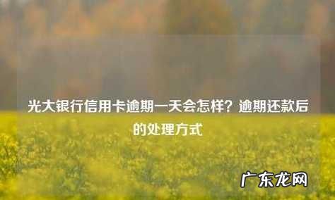信用卡还款推迟一天可以,信用卡还款日第二天还款算逾期