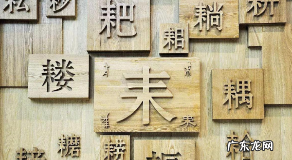 犭和什么有关,犭字旁与什么有关
