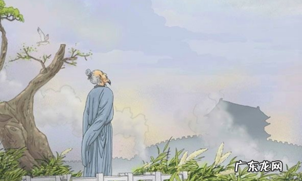 杜甫的诗被称为什么,杜甫的诗歌被称为什么