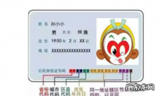 身份证号码的数字代表什么意义详细,8位身份证号码的含义图解