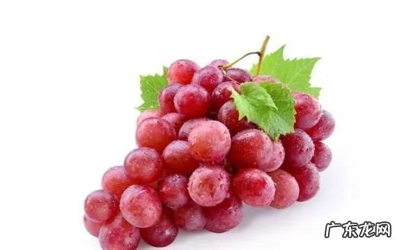 提子上火有什么功效,提子是热带水果