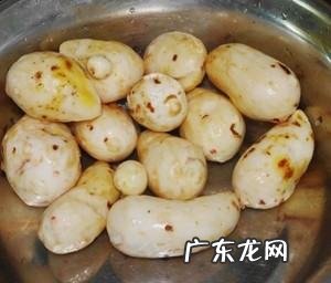 扁尖老鸭汤的做法,海参炖老鸭汤的功效是什么