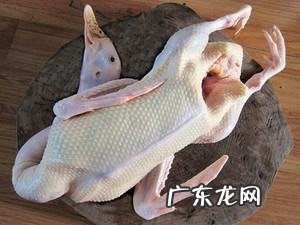 扁尖老鸭汤的做法,海参炖老鸭汤的功效是什么