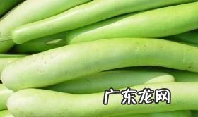 护瓜的功效和作用是什么,芦瓜的功效和作用是什么