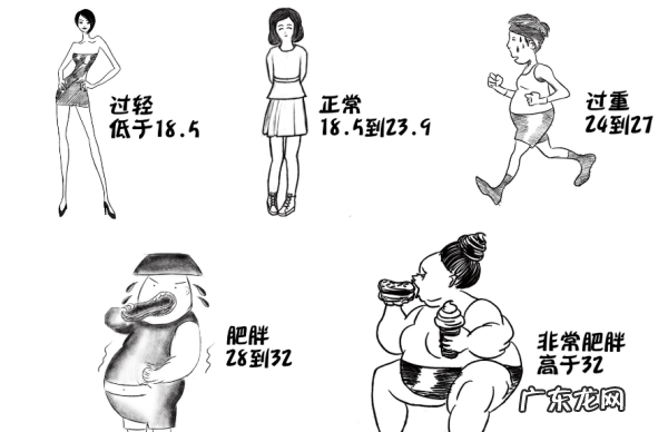 什么是体重指数如何计算,男人的BMI指数是什么