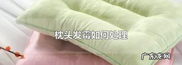 发霉的枕头怎么洗干净,枕头芯有霉点用什么可以洗掉