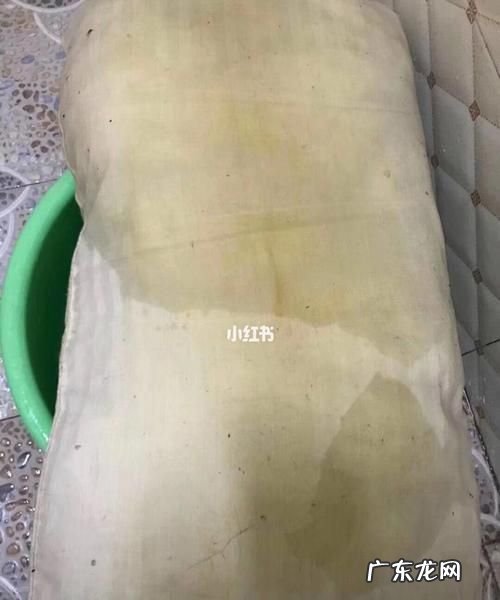 发霉的枕头怎么洗干净,枕头芯有霉点用什么可以洗掉