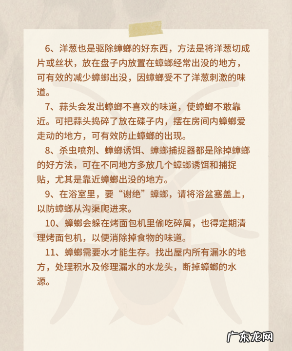 家里太多蟑螂了怎么办,家里出现了好多蟑螂怎么办