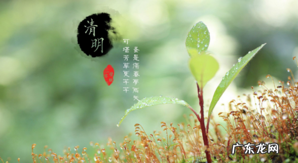 中国春天有什么节日,中国春天的节日有哪些